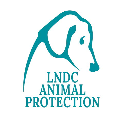 Logo di LNDC Animal Protection