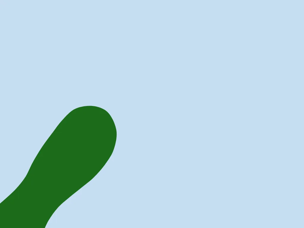 Pensione Di Reversibilità E Altre Pensioni: Sono Compatibili?